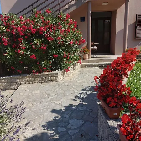 Gina Labin (Istria)